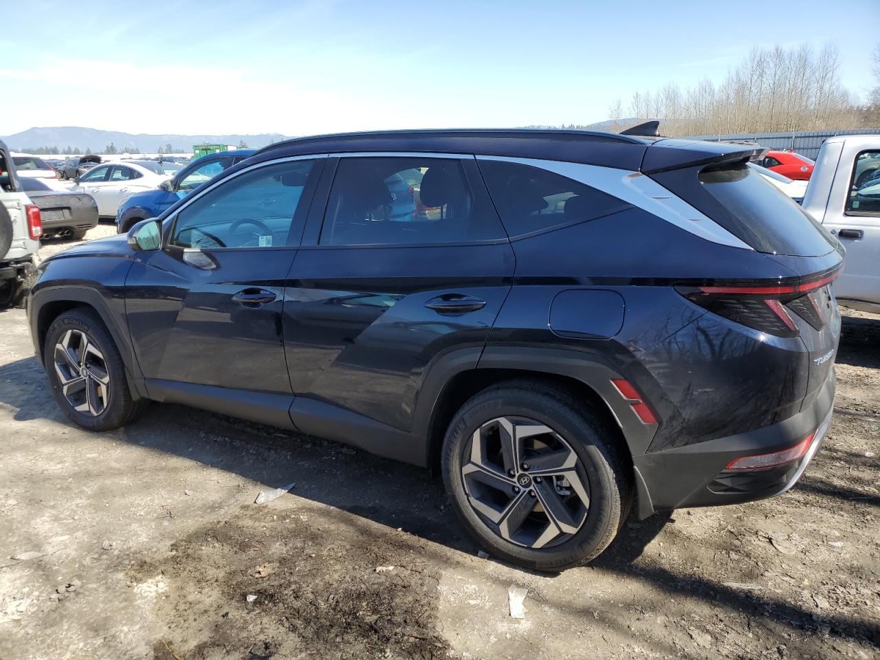 2024 HYUNDAI TUCSON LIMITED VIN:KM8JECD11RU179662