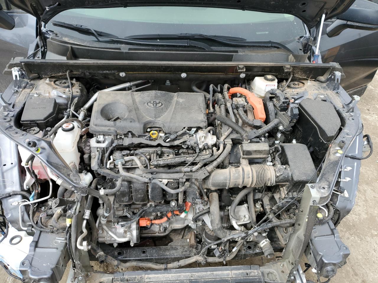 2023 TOYOTA RAV4 LE VIN:JTMLWRFV2PD193290