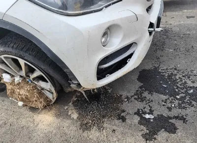 2015 BMW 630 WBAKV2101F0N23313 VIN:WBAKV2101F0N23313