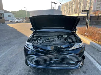 2019 Toyota Camry JTNB21HK2K3039765 VIN:JTNB21HK2K3039765
