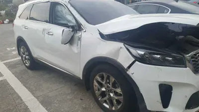 2020 Kia Sorento KNAPH81BDLA635607 VIN:KNAPH81BDLA635607