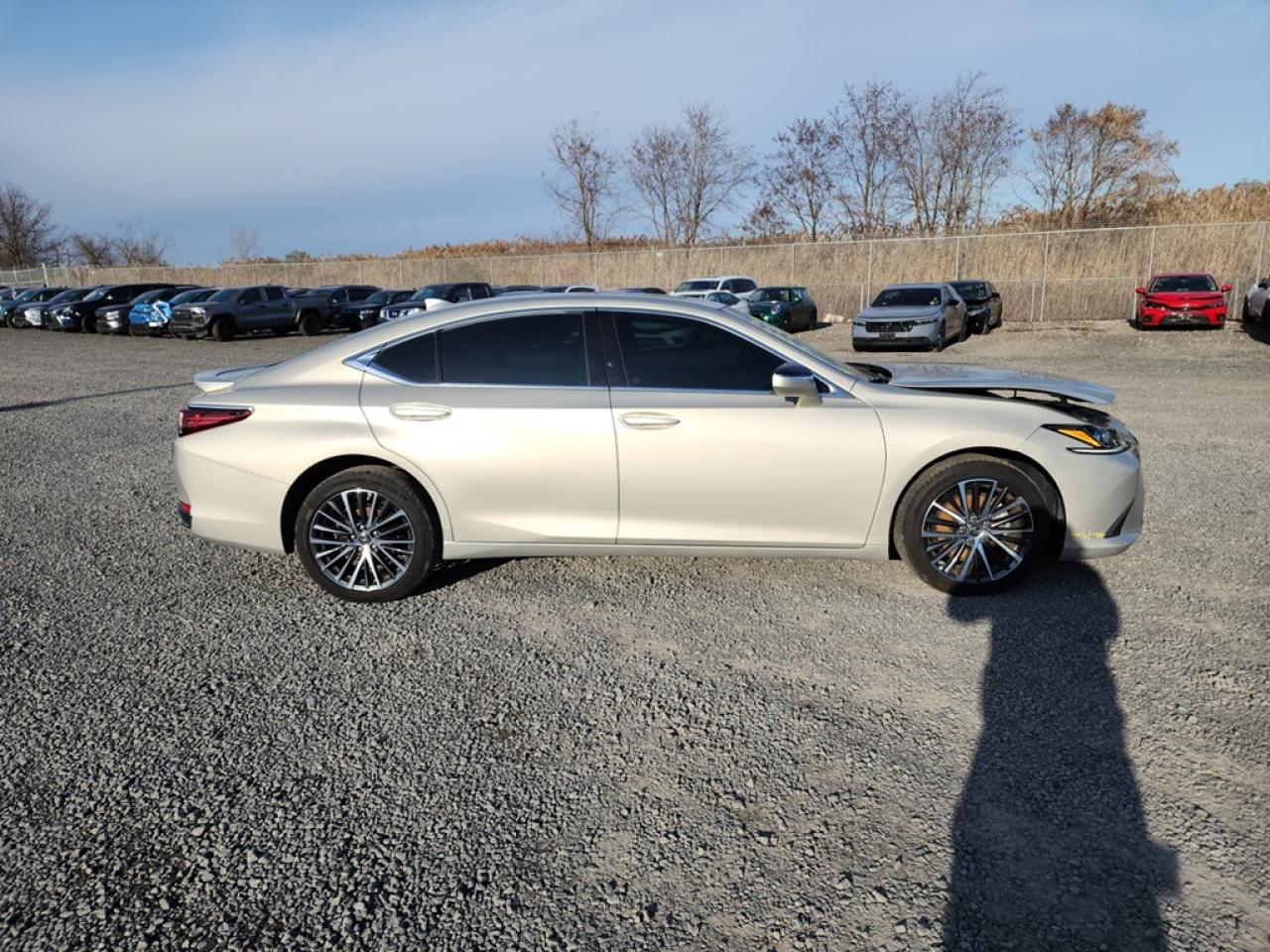 2022 LEXUS ES 250 BASE VIN:58AD11D15NU008493