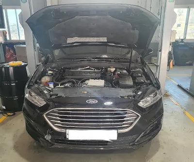 2019 Ford Mondeo WF0DXXWPCKKS10857 VIN:WF0DXXWPCKKS10857