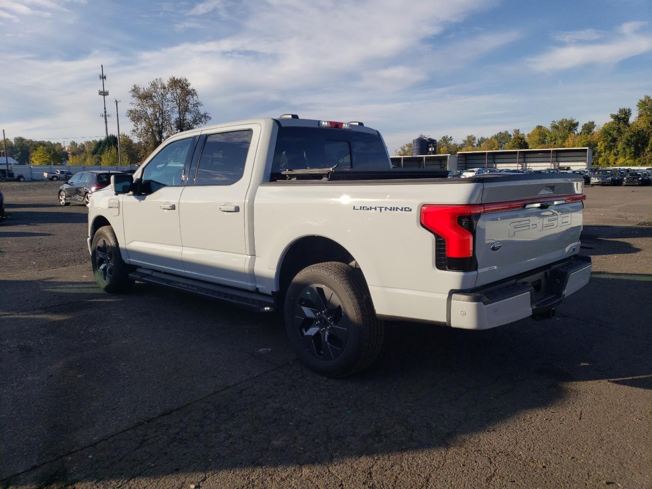 2023 FORD F150 LIGHTNING PRO VIN:1FTVW1EV5PWG53400
