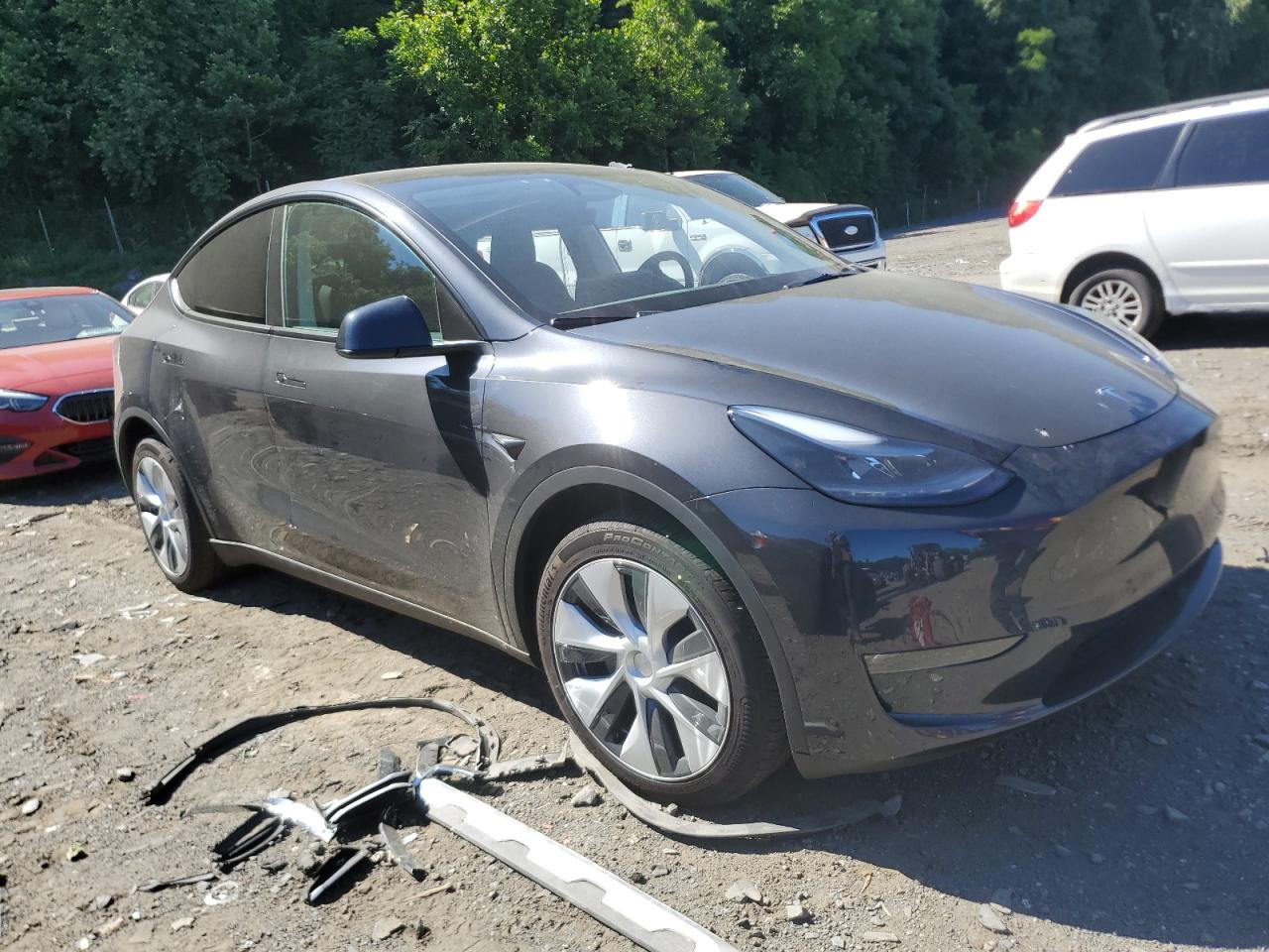 2024 TESLA MODEL Y  VIN:7SAYGDEE6RF031927