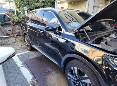 2021 Kia Sorento KNARH81GBMA011735 VIN:KNARH81GBMA011735