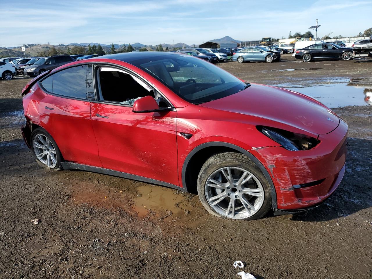 2023 TESLA MODEL Y  VIN:7SAYGDED3PF943225