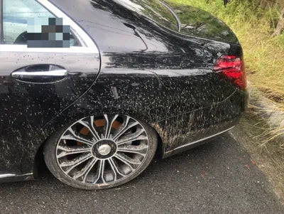 2020 Mercedes-Benz S 560 W1KUG8GB9LA528952 VIN:W1KUG8GB9LA528952