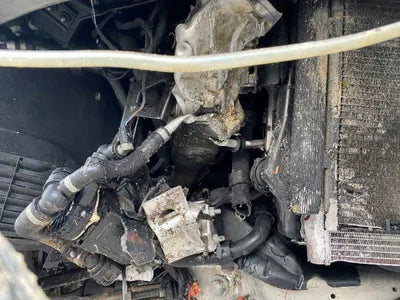 2020 Mercedes-Benz S 560 W1KUG8GB4LA565844 VIN:W1KUG8GB4LA565844