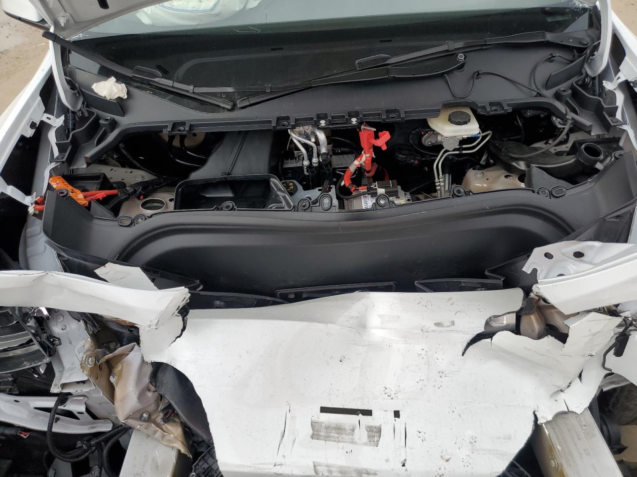 2024 TESLA MODEL Y  VIN:7SAYGDED4RF055537