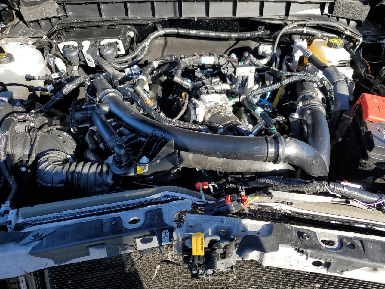 2024 FORD BRONCO BADLANDS VIN:1FMEE9BP5RLA45061