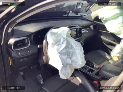 2016 Kia Sorento KNAPS81ABHA272881 VIN:KNAPS81ABHA272881