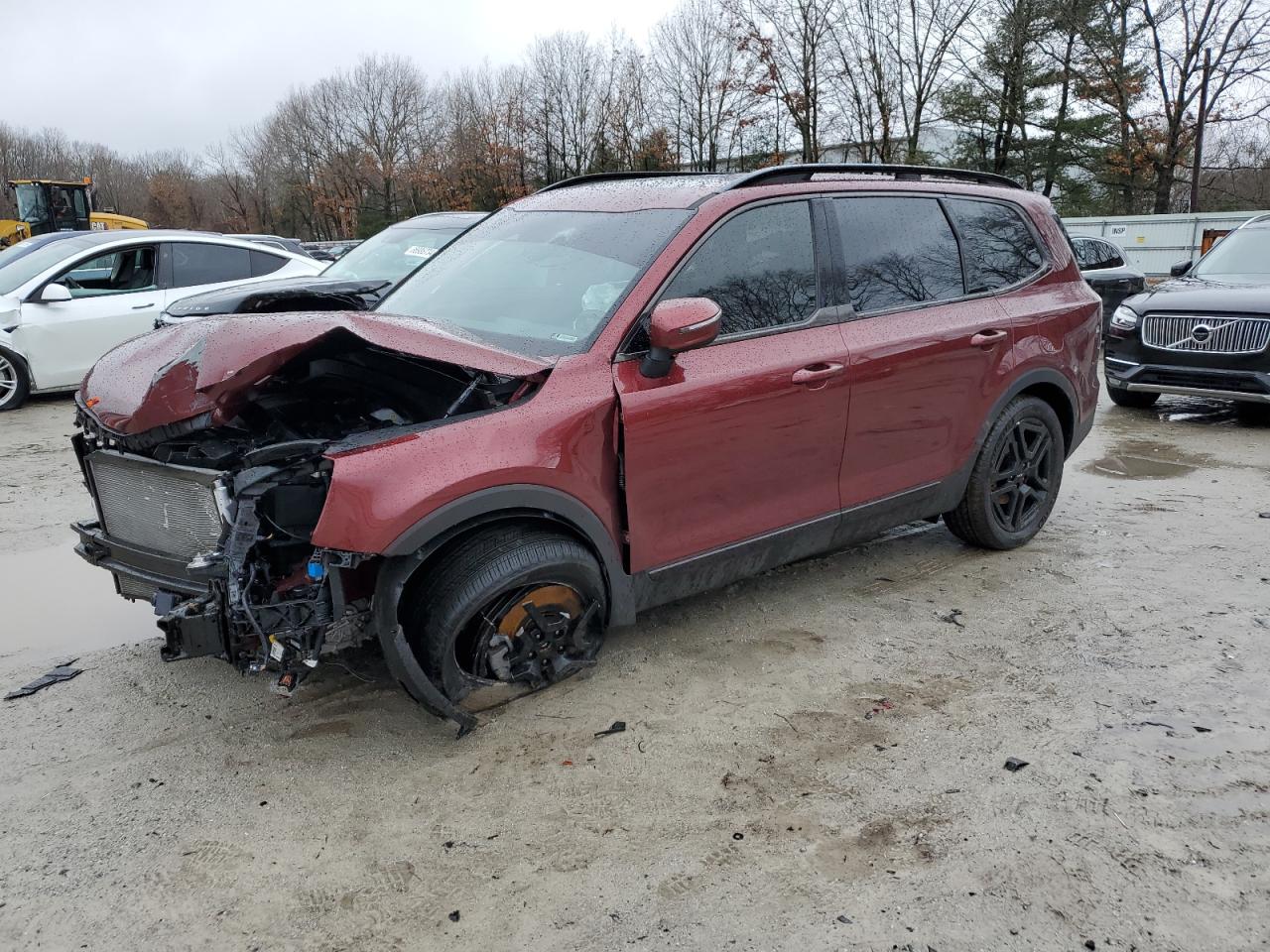 2024 KIA TELLURIDE EX VIN:5XYP3DGC7RG546573