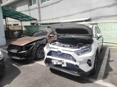 2019 Toyota RAV4 VIN: