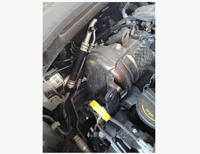 2019 Hyundai Santa FE KMHS281BBKU138593 VIN:KMHS281BBKU138593