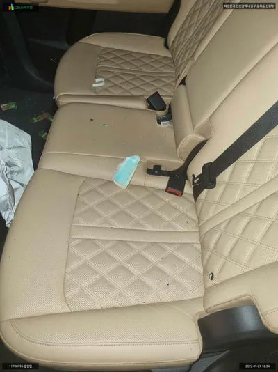 2020 Kia Sorento KNARH81GBMA000910 VIN:KNARH81GBMA000910
