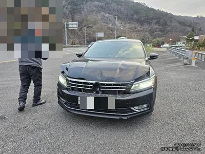 2016 Volkswagen Passat 1VWZZZA3ZGC007492 VIN:1VWZZZA3ZGC007492