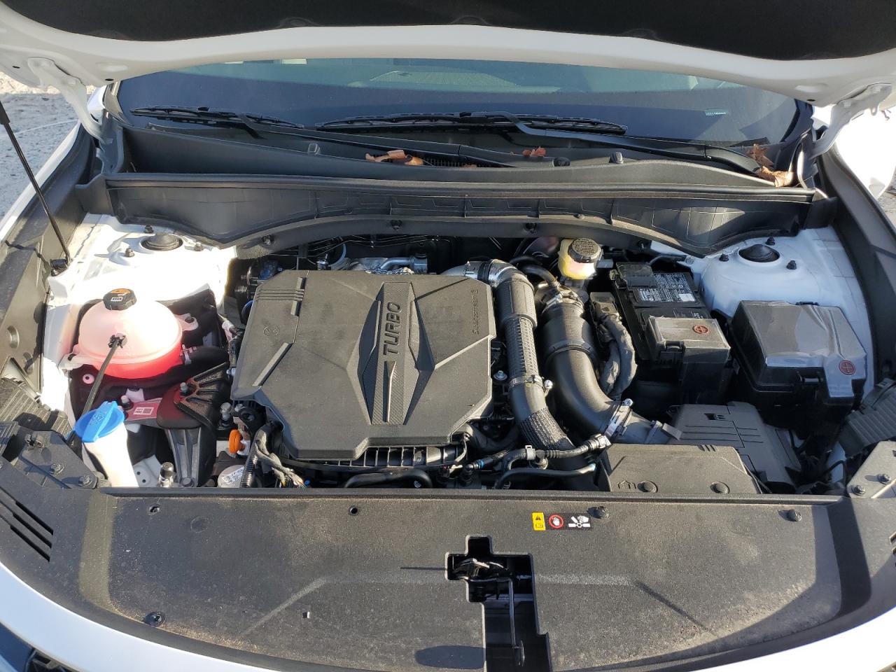 2023 KIA SORENTO SX VIN:5XYRK4LF4PG239838