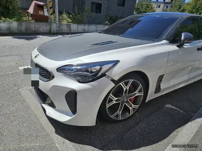 2019 Kia Stinger VIN: