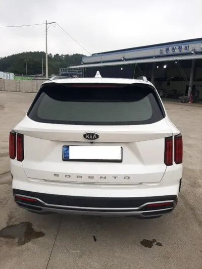 2021 Kia Sorento KNARK81BGMA103765 VIN:KNARK81BGMA103765