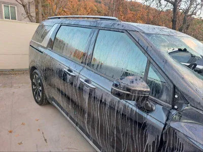 2020 Kia Carnival VIN: