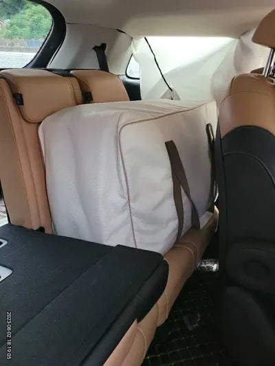 2021 Kia Carnival KNANE81BBMS073980 VIN:KNANE81BBMS073980