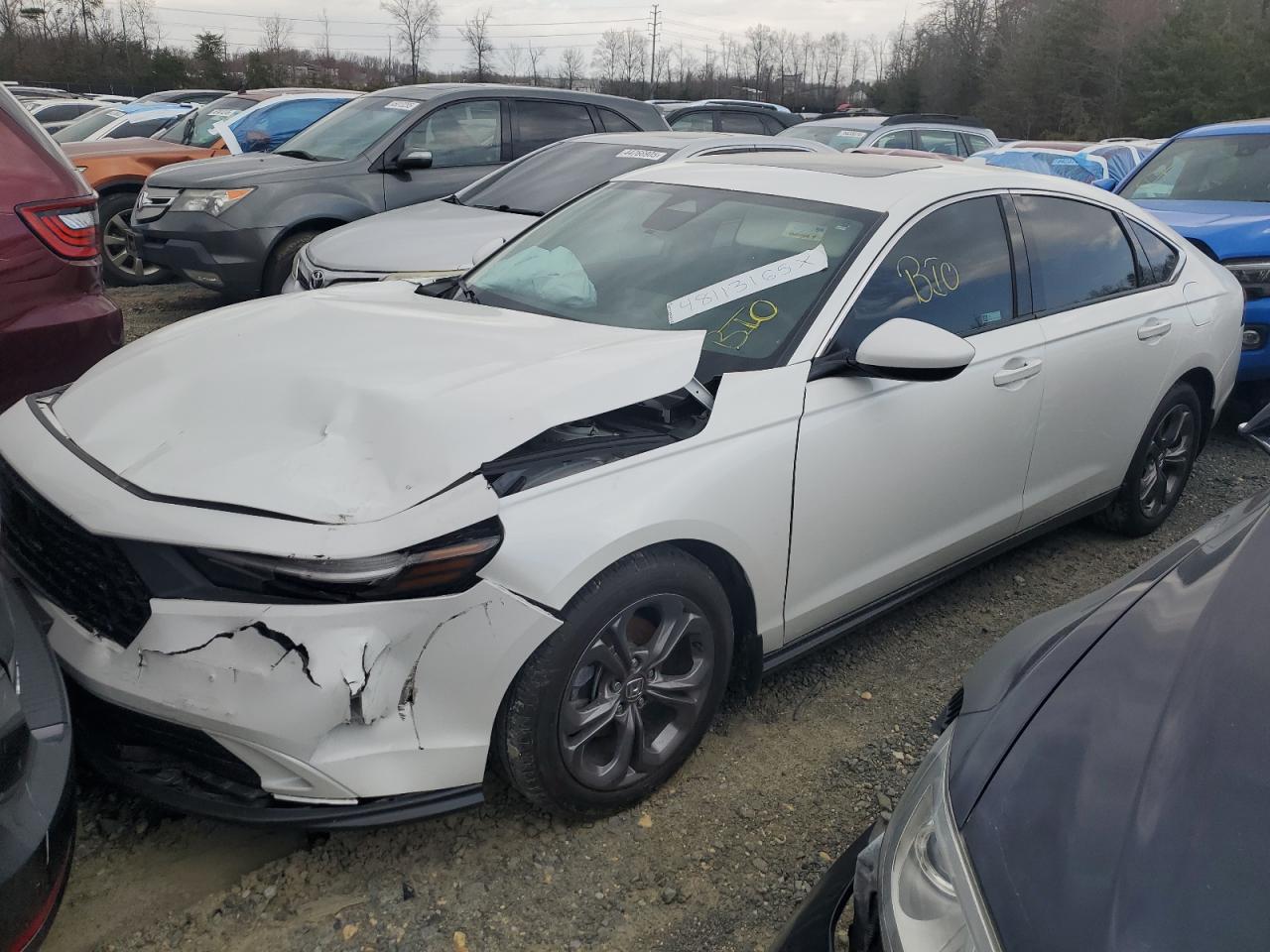 2024 HONDA ACCORD EX VIN:1HGCY1F31RA039413