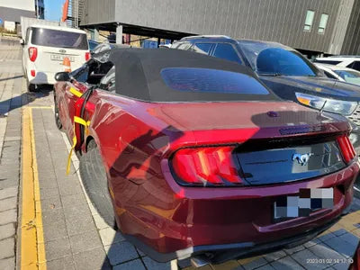 2019 Ford Mustang 1FATP8UH3K5196891 VIN:1FATP8UH3K5196891