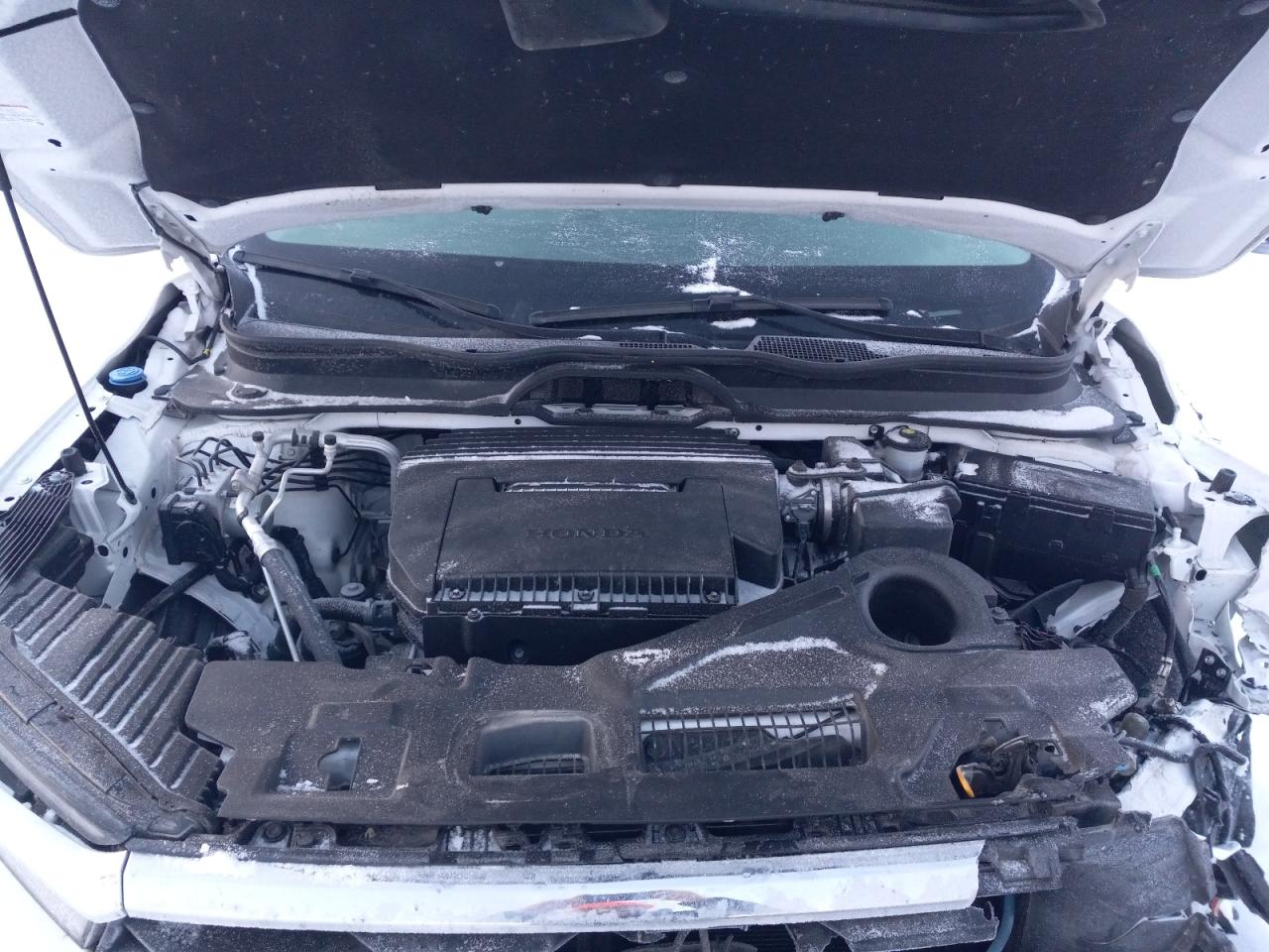 2023 HONDA PILOT EXL VIN:5FNYG1H44PB046373