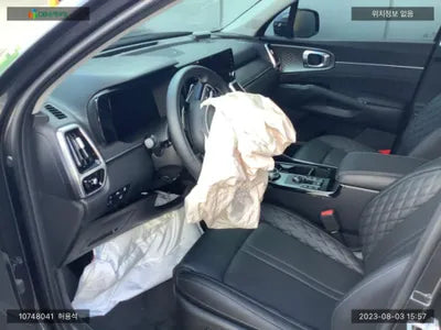 2023 Kia Sorento KNARL81FGPA216084 VIN:KNARL81FGPA216084