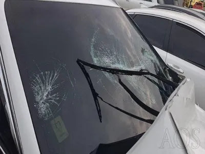 2019 Hyundai Santa FE KMHS581CBKU081567 VIN:KMHS581CBKU081567