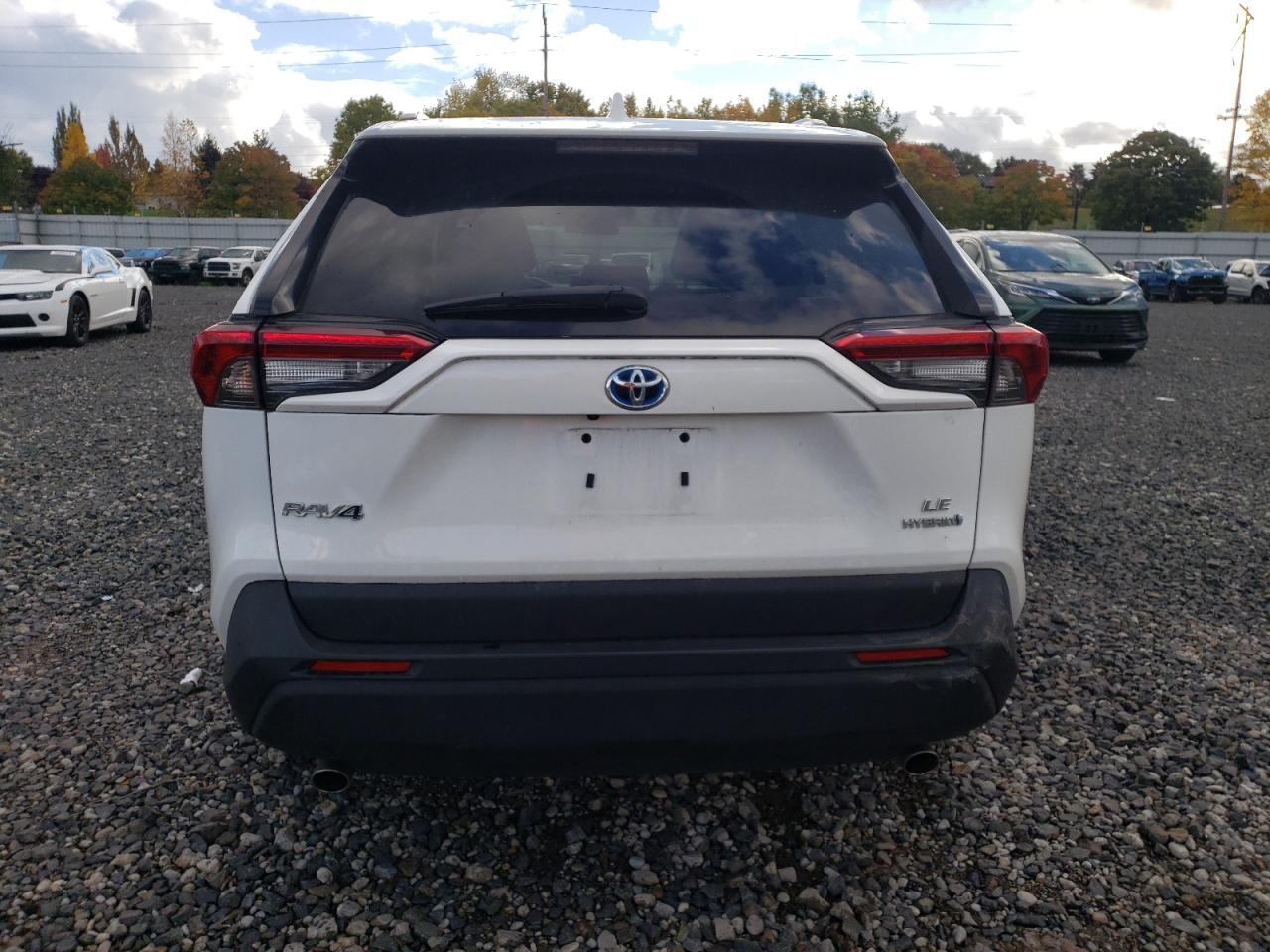 2022 TOYOTA RAV4 LE VIN:4T3LWRFV0NU077067