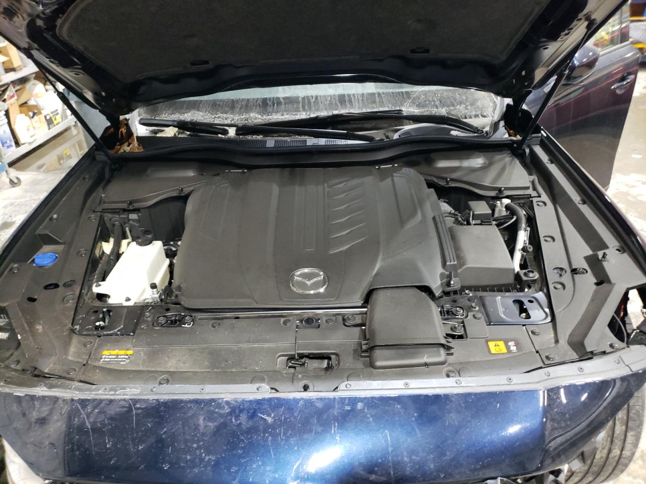 2024 MAZDA CX-90 PREMIUM PLUS VIN:JM3KKEHD9R1174445
