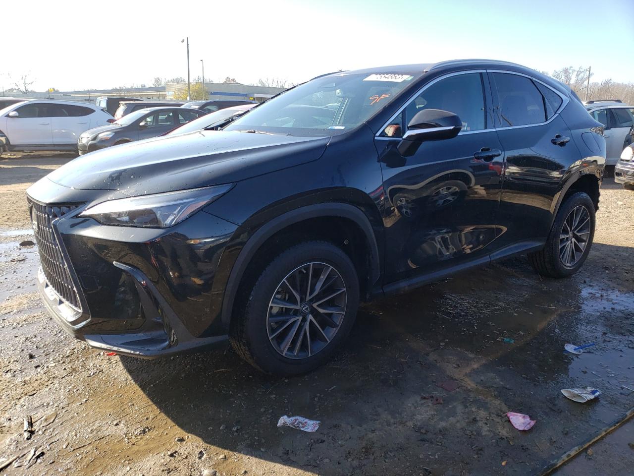 2023 LEXUS NX 250 VIN:2T2ADCEZ8PC002897