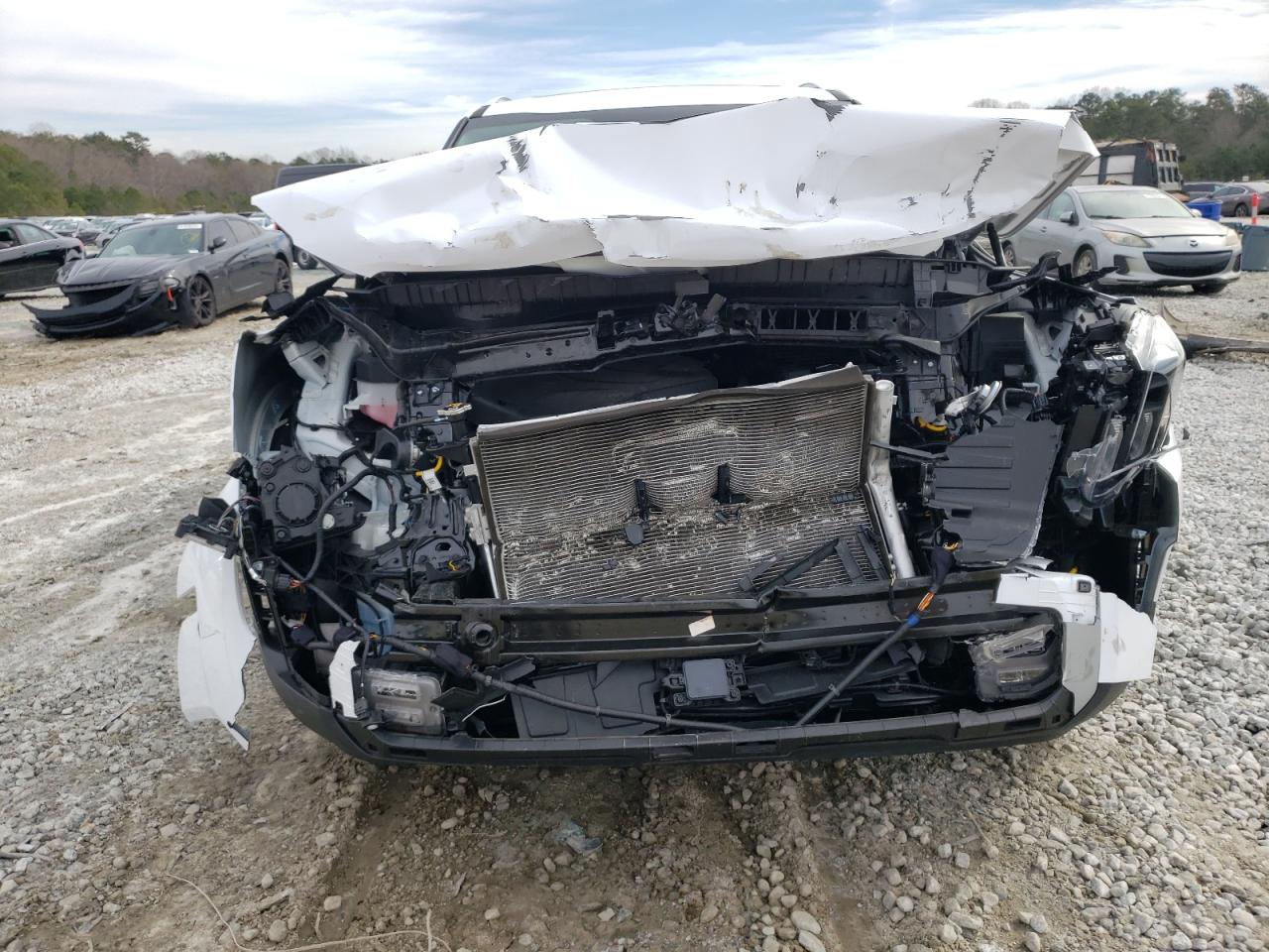 2023 KIA TELLURIDE SX VIN:5XYP54GC6PG374415