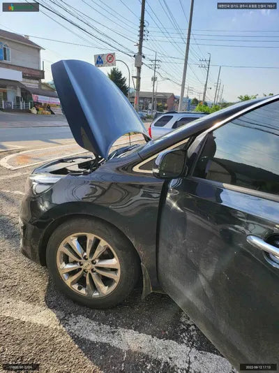 2017 Kia Carnival KNAME81ABJS390079 VIN:KNAME81ABJS390079