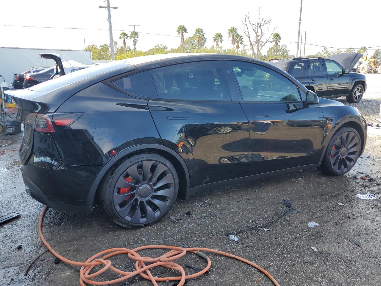 2024 TESLA MODEL Y  VIN:7SAYGDEF0RA295019