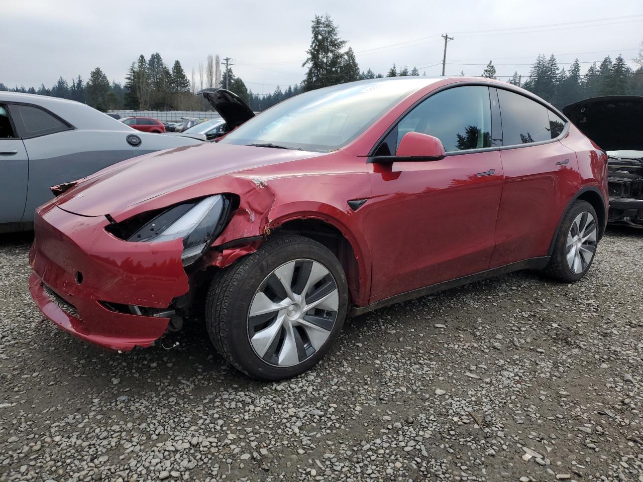 2024 TESLA MODEL Y  VIN:7SAYGDEE3RF014258