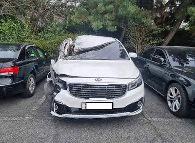 2018 Kia Carnival KNAMB81ABJS417601 VIN:KNAMB81ABJS417601