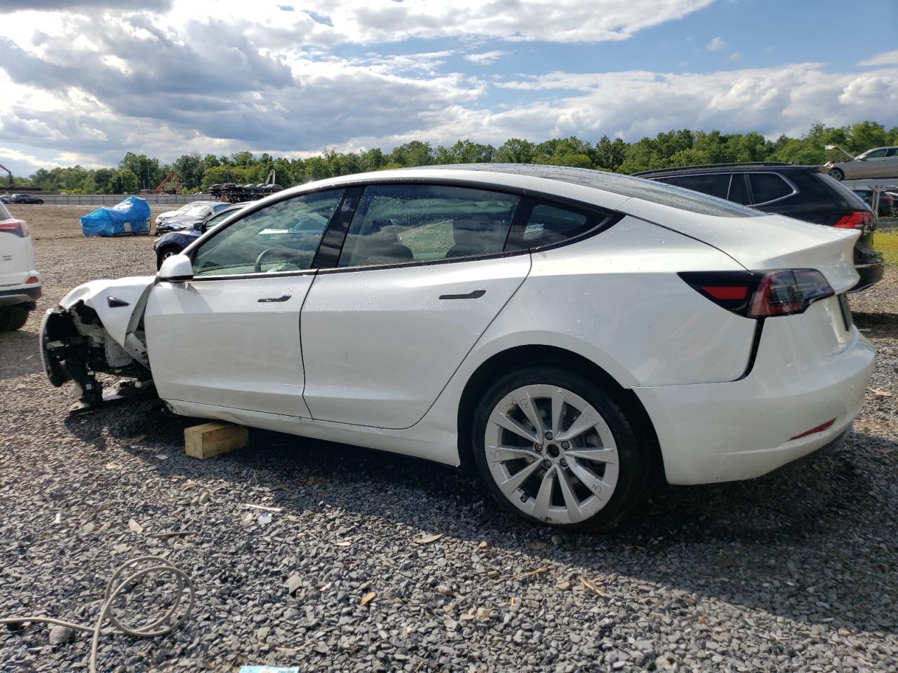 2023 TESLA MODEL 3  VIN:5YJ3E1EA3PF570320