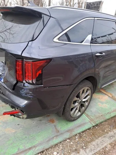 2021 Kia Sorento KNARL81BGMA103199 VIN:KNARL81BGMA103199