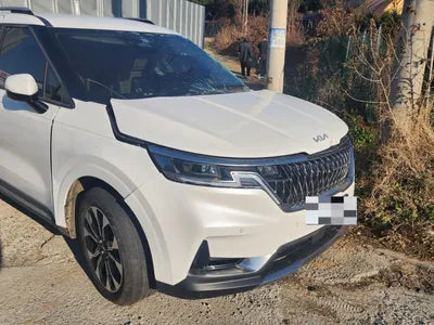 2023 Kia Carnival KNANE813BPS353234 VIN:KNANE813BPS353234