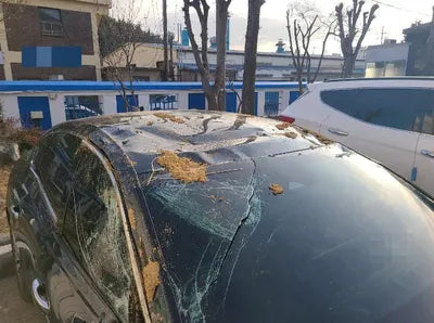 2020 Genesis G80 VIN: