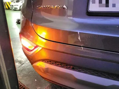 2019 Hyundai Santa FE KMHS381BBLU201216 VIN:KMHS381BBLU201216