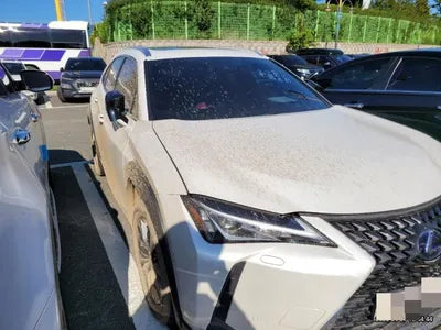 2020 Lexus UX 250 JTHP6JBH5L2073913 VIN:JTHP6JBH5L2073913