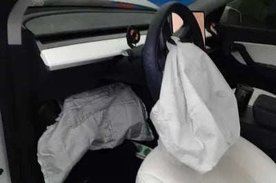 2021 Tesla Model Y 5YJYGDEE3MF227183 VIN:5YJYGDEE3MF227183