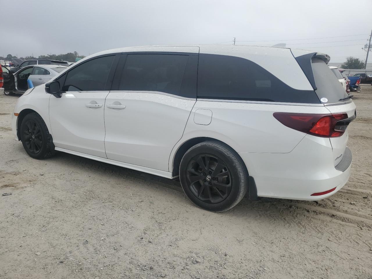 2024 HONDA ODYSSEY SPORT VIN:5FNRL6H72RB024348