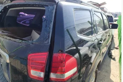 2017 Kia Mohave KNAKN814DHA156019 VIN:KNAKN814DHA156019