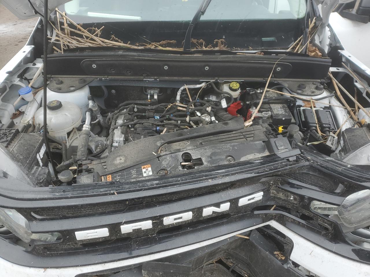 2023 FORD BRONCO SPORT OUTER BANKS VIN:3FMCR9C60PRD33103
