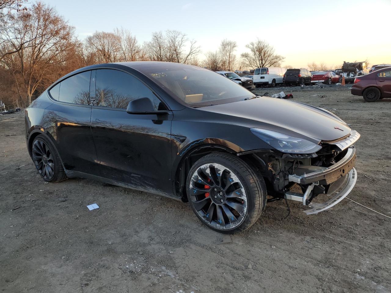 2023 TESLA MODEL Y  VIN:7SAYGDEF4PF845550